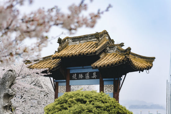 西南大學(xué)專升本報名截止時間是什么時候？