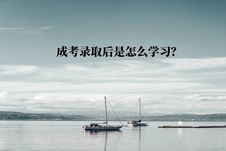 成考錄取后是怎么學(xué)習(xí)？