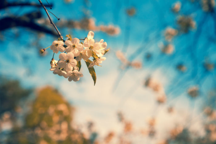 視覺傳達(dá)設(shè)計(jì)專升本報(bào)名到畢業(yè)學(xué)費(fèi)要多少錢？