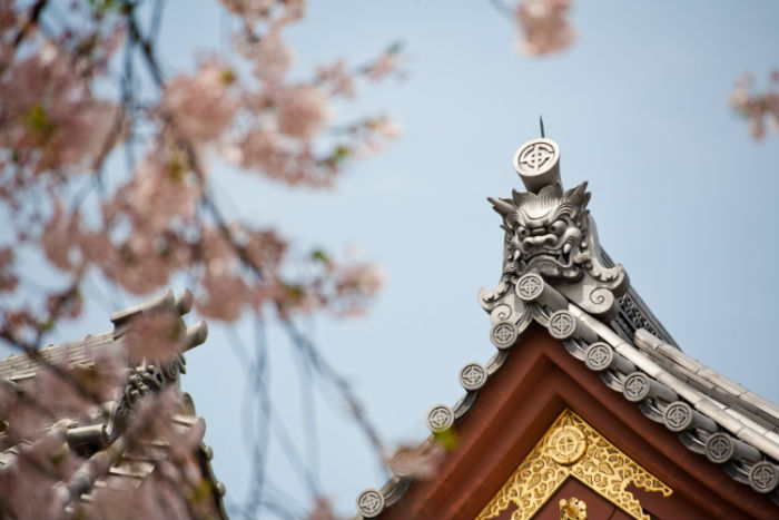 平頂山提升學(xué)歷方式哪種好？學(xué)歷提升招生學(xué)校有多少？