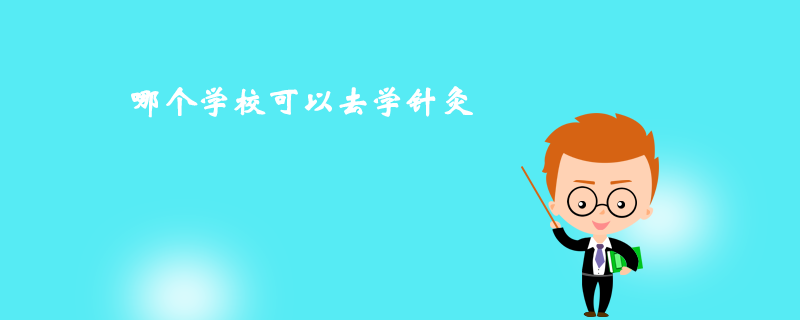 那個學?？梢匀W針灸