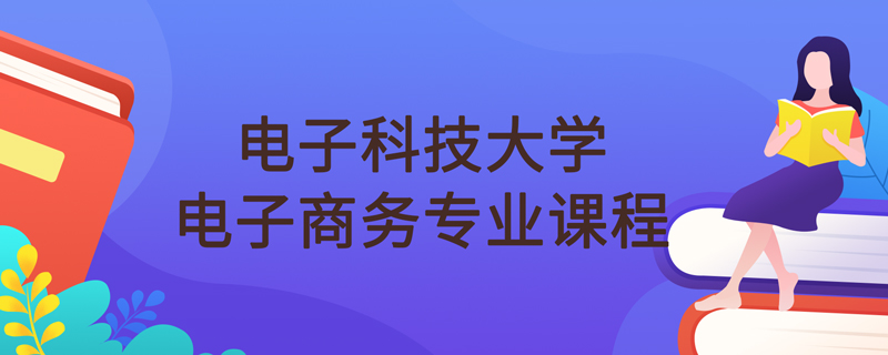 電子科技大學(xué)網(wǎng)絡(luò)教育電子商務(wù)專(zhuān)業(yè)課程科目有什么