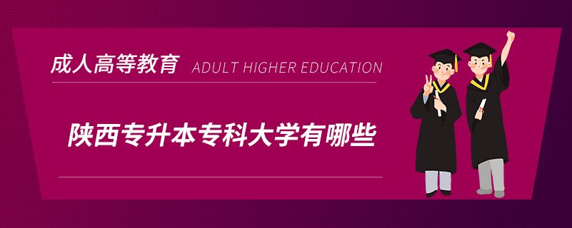 陜西專升本?？拼髮W(xué)有哪些