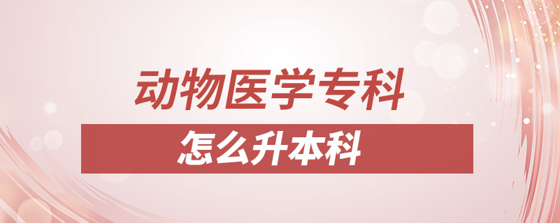 動物醫(yī)學?？圃趺瓷究? /></p><p style=