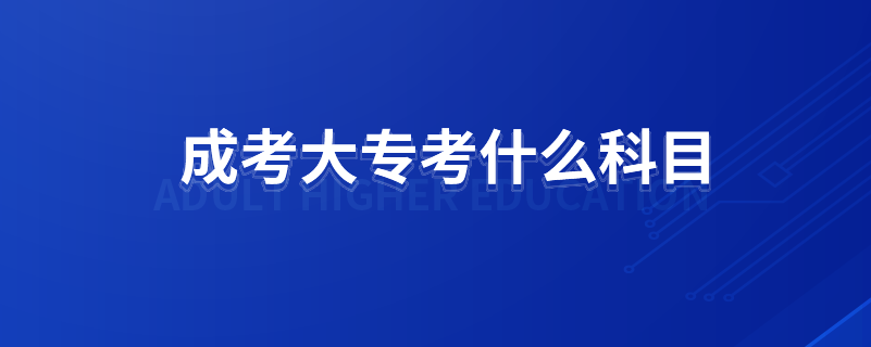 成考大?？际裁纯颇? /></p><p style=