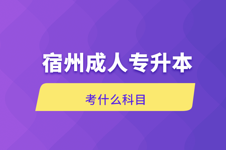 宿州成人專(zhuān)升本考什么科目