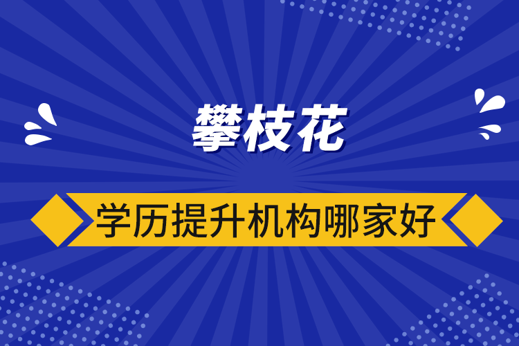 攀枝花學歷提升機構哪家好