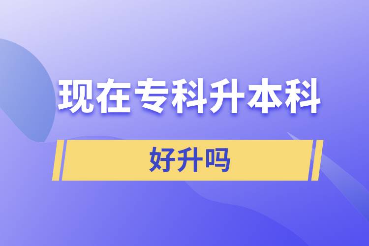 現(xiàn)在?？粕究坪蒙龁? /></p><p style=