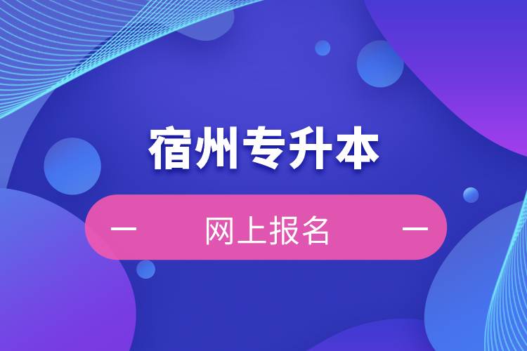 在宿州專升本怎么網上報名？