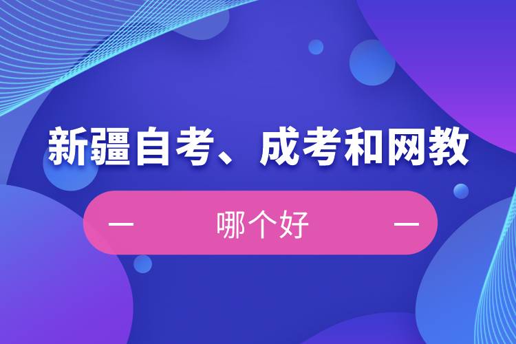 新疆自考、成考和網教哪個好