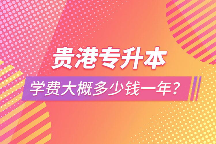 貴港專升本學(xué)費大概多少錢一年？