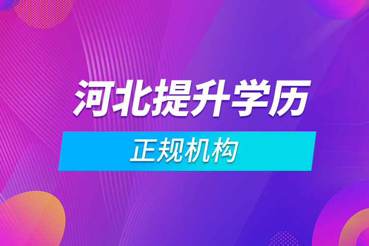 河北網(wǎng)絡教育機構哪家好