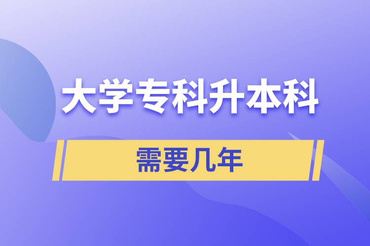 大學?？粕究菩枰獛啄? /></p><p style=