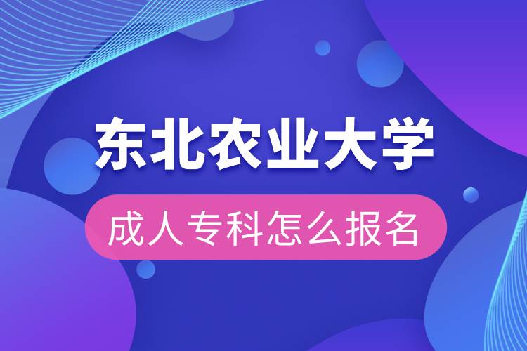東北農(nóng)業(yè)大學(xué)成人?？圃趺磮?bào)名