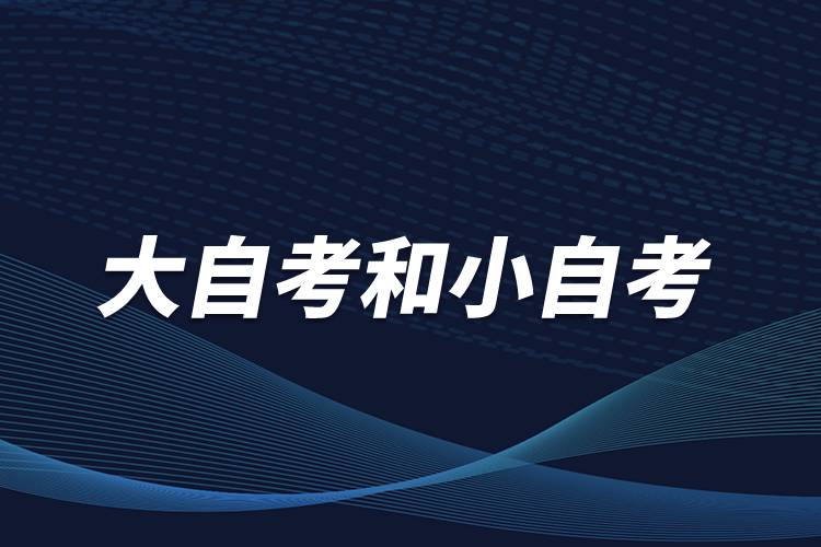 大自考和小自考是什么意思？有什么區(qū)別？