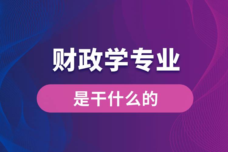 財(cái)政學(xué)專(zhuān)業(yè)是干什么的