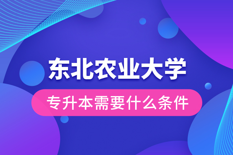 東北農(nóng)業(yè)大學(xué)專升本需要什么條件？