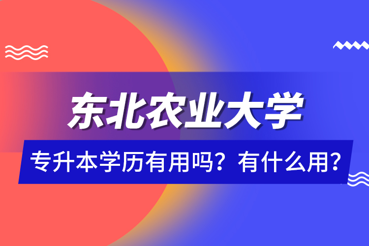 東北農(nóng)業(yè)大學(xué)專升本學(xué)歷有用嗎？有什么用？