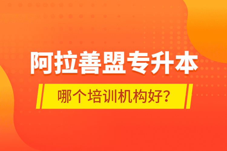阿拉善盟專升本哪個(gè)培訓(xùn)機(jī)構(gòu)好？