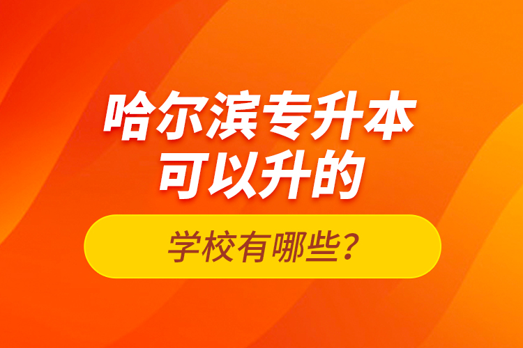 哈爾濱專升本可以升的學校有哪些？
