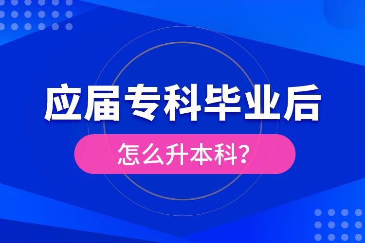 應(yīng)屆專科畢業(yè)后怎么升本科？