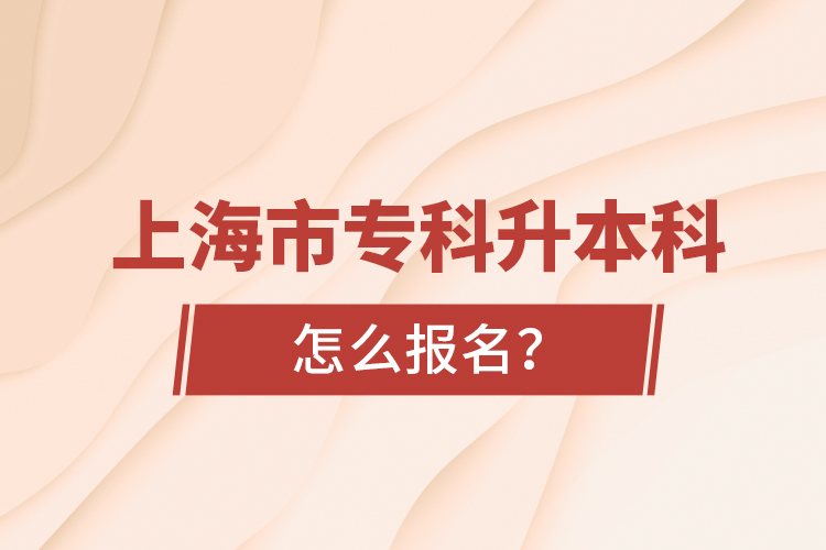 上海市?？粕究圃趺磮竺?？