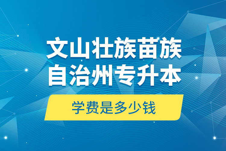 文山壯族苗族自治州專(zhuān)升本學(xué)費(fèi)是多少錢(qián)？