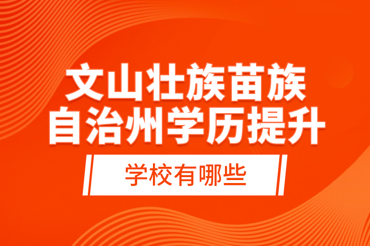 文山壯族苗族自治州學(xué)歷提升學(xué)校有哪些？