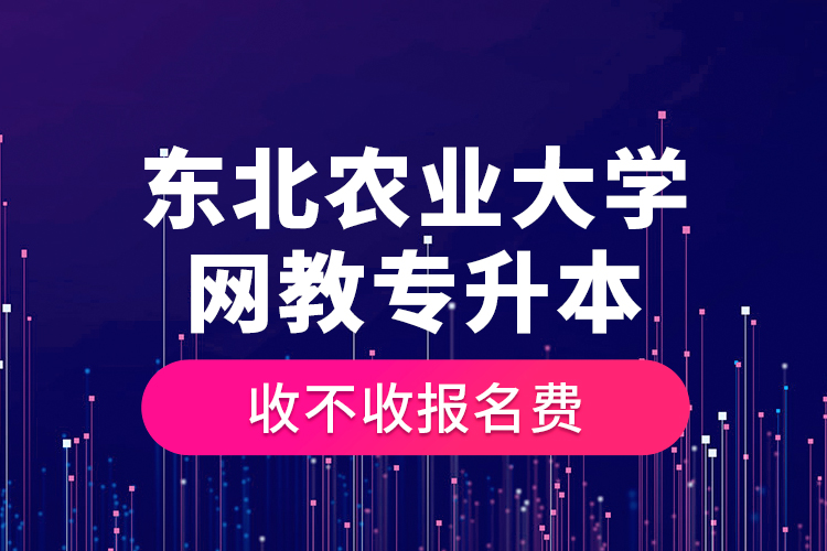 東北農(nóng)業(yè)大學(xué)網(wǎng)教專(zhuān)升本收不收?qǐng)?bào)名費(fèi)？
