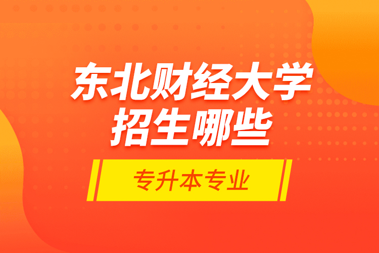東北財(cái)經(jīng)大學(xué)招生哪些專升本專業(yè)？