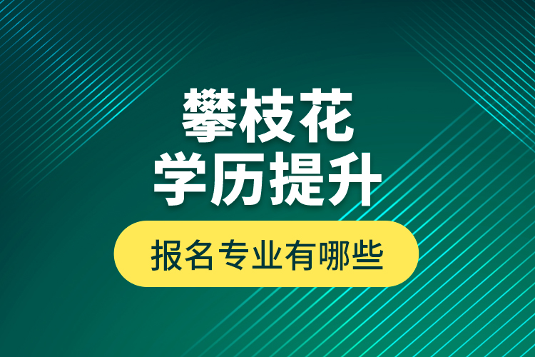 攀枝花學(xué)歷提升報(bào)名專業(yè)有哪些？