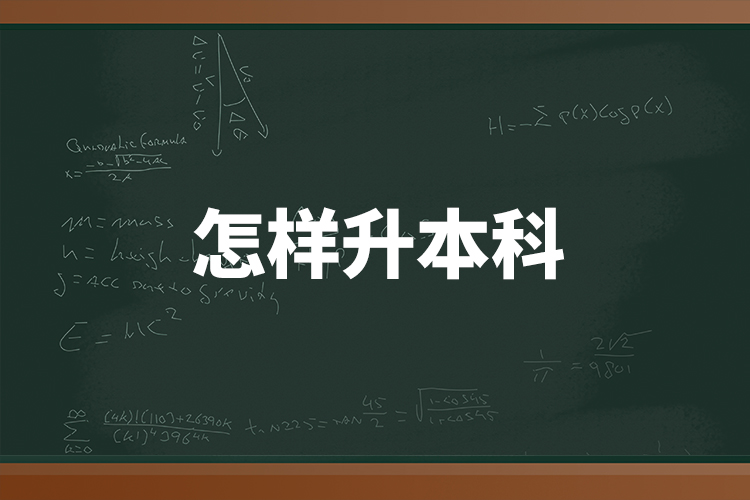 怎樣升本科？